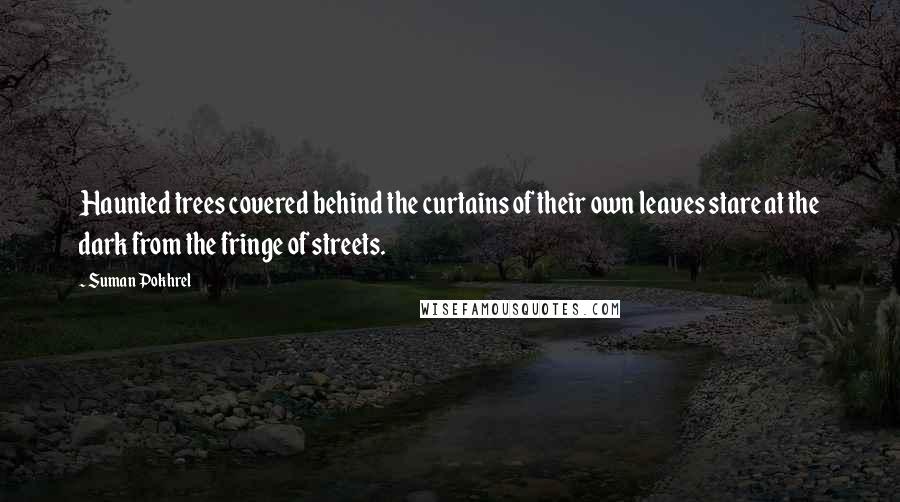 Suman Pokhrel Quotes: Haunted trees covered behind the curtains of their own leaves stare at the dark from the fringe of streets.