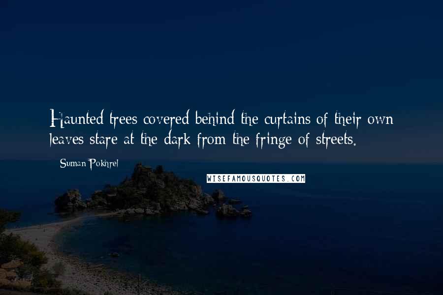 Suman Pokhrel Quotes: Haunted trees covered behind the curtains of their own leaves stare at the dark from the fringe of streets.
