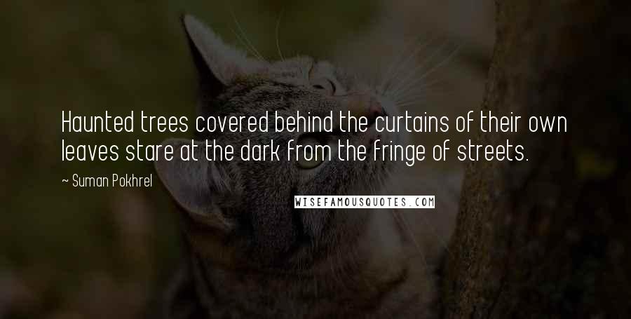 Suman Pokhrel Quotes: Haunted trees covered behind the curtains of their own leaves stare at the dark from the fringe of streets.