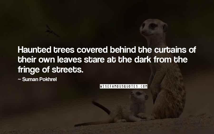 Suman Pokhrel Quotes: Haunted trees covered behind the curtains of their own leaves stare at the dark from the fringe of streets.