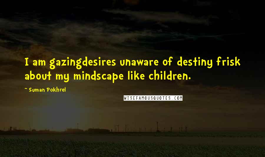 Suman Pokhrel Quotes: I am gazingdesires unaware of destiny frisk about my mindscape like children.