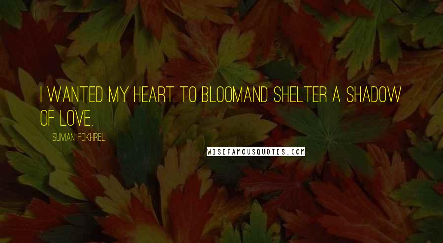 Suman Pokhrel Quotes: I wanted my heart to bloomand shelter a shadow of love.