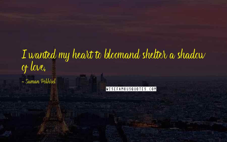 Suman Pokhrel Quotes: I wanted my heart to bloomand shelter a shadow of love.