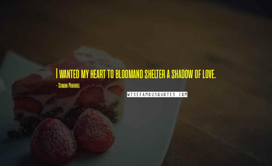 Suman Pokhrel Quotes: I wanted my heart to bloomand shelter a shadow of love.