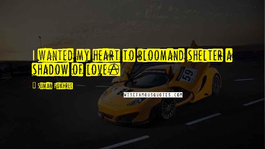 Suman Pokhrel Quotes: I wanted my heart to bloomand shelter a shadow of love.