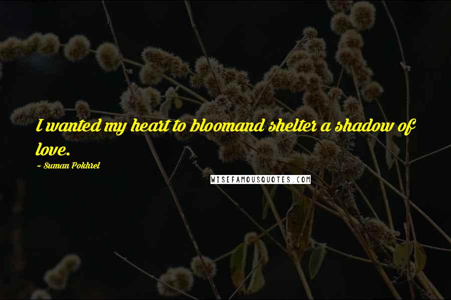 Suman Pokhrel Quotes: I wanted my heart to bloomand shelter a shadow of love.