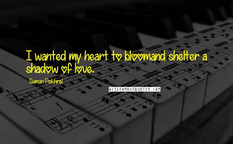 Suman Pokhrel Quotes: I wanted my heart to bloomand shelter a shadow of love.