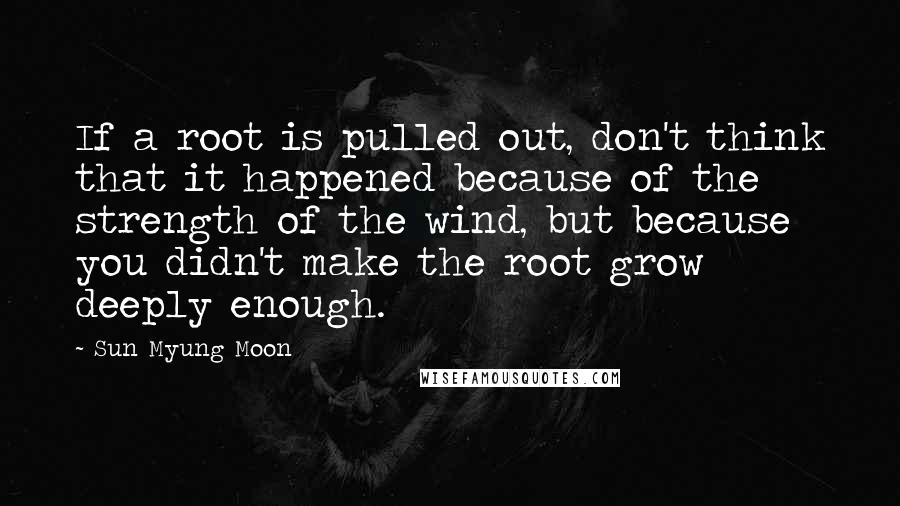 Sun Myung Moon Quotes: If a root is pulled out, don't think that it happened because of the strength of the wind, but because you didn't make the root grow deeply enough.