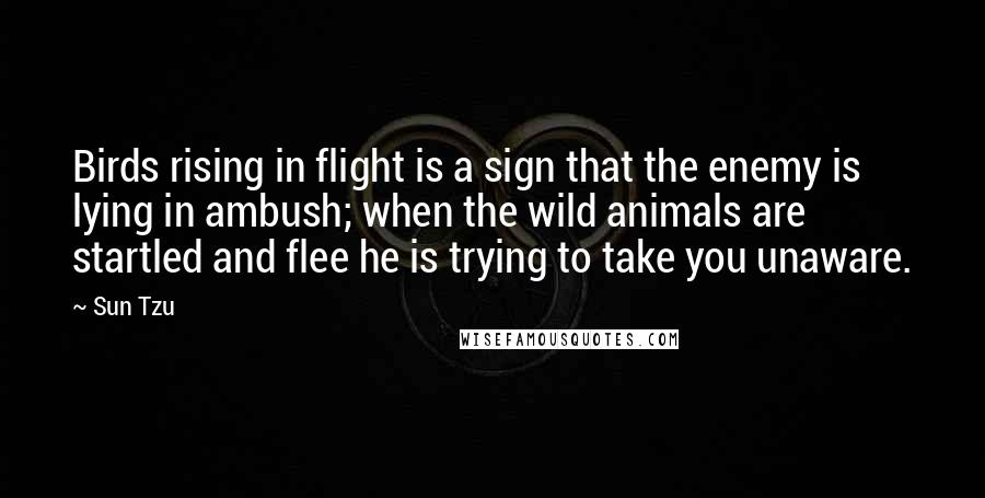 Sun Tzu Quotes: Birds rising in flight is a sign that the enemy is lying in ambush; when the wild animals are startled and flee he is trying to take you unaware.