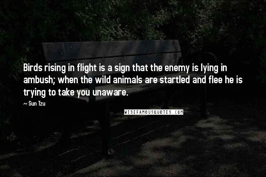 Sun Tzu Quotes: Birds rising in flight is a sign that the enemy is lying in ambush; when the wild animals are startled and flee he is trying to take you unaware.