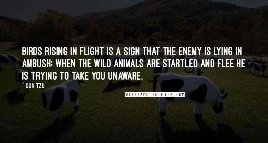 Sun Tzu Quotes: Birds rising in flight is a sign that the enemy is lying in ambush; when the wild animals are startled and flee he is trying to take you unaware.