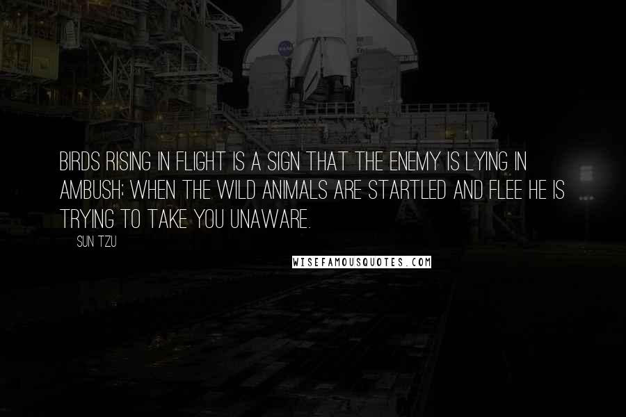 Sun Tzu Quotes: Birds rising in flight is a sign that the enemy is lying in ambush; when the wild animals are startled and flee he is trying to take you unaware.