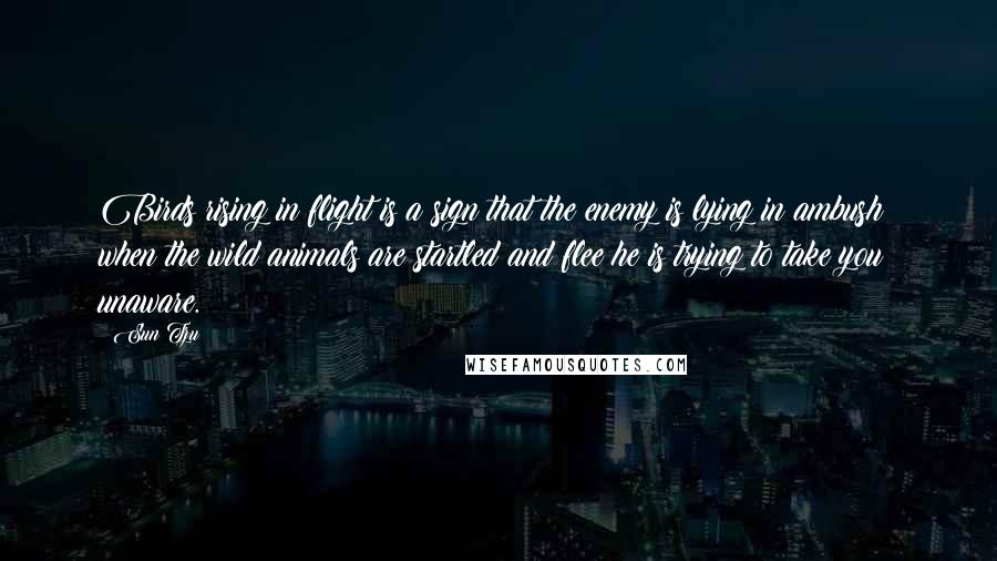 Sun Tzu Quotes: Birds rising in flight is a sign that the enemy is lying in ambush; when the wild animals are startled and flee he is trying to take you unaware.