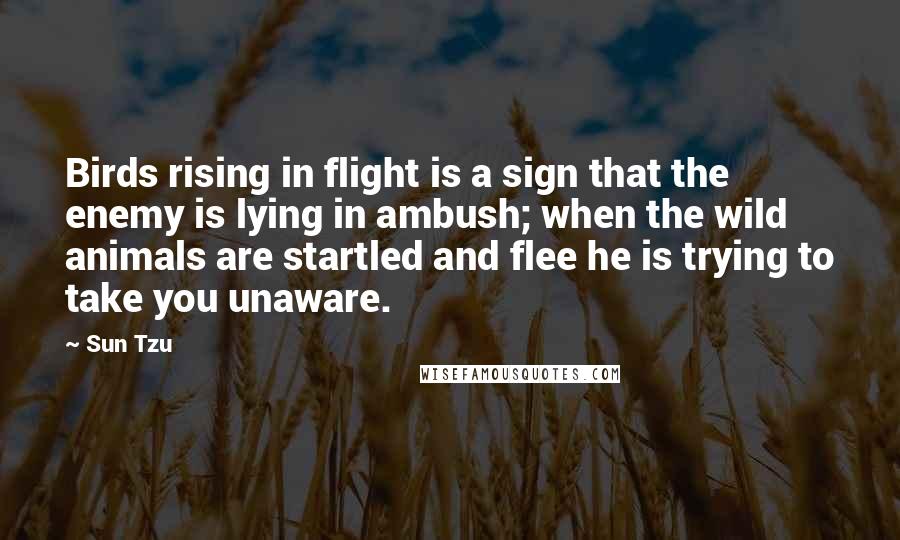 Sun Tzu Quotes: Birds rising in flight is a sign that the enemy is lying in ambush; when the wild animals are startled and flee he is trying to take you unaware.