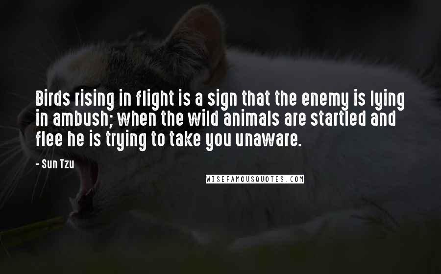 Sun Tzu Quotes: Birds rising in flight is a sign that the enemy is lying in ambush; when the wild animals are startled and flee he is trying to take you unaware.