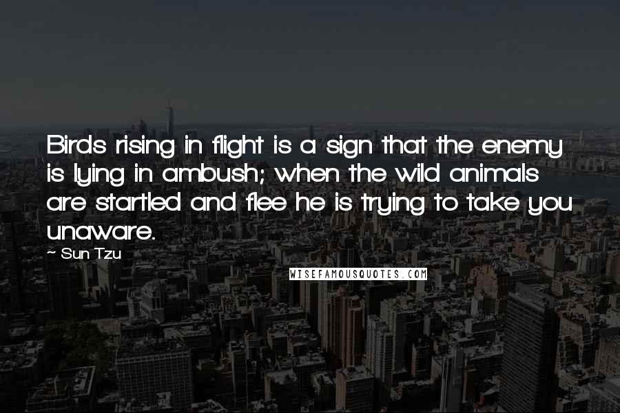 Sun Tzu Quotes: Birds rising in flight is a sign that the enemy is lying in ambush; when the wild animals are startled and flee he is trying to take you unaware.