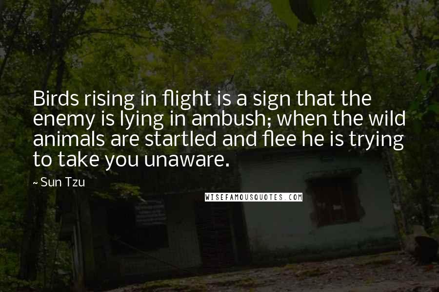 Sun Tzu Quotes: Birds rising in flight is a sign that the enemy is lying in ambush; when the wild animals are startled and flee he is trying to take you unaware.