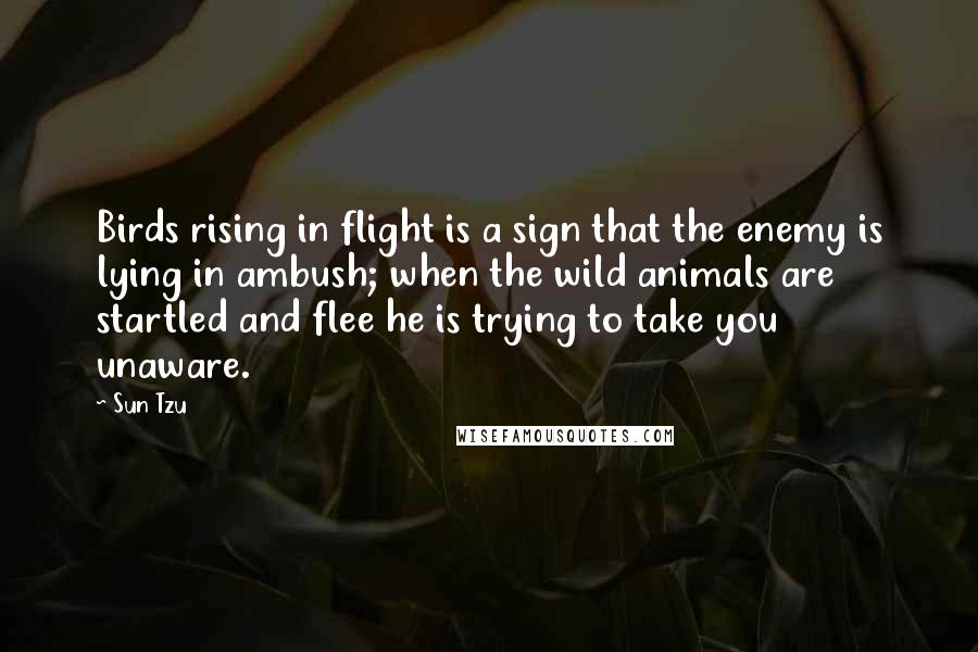 Sun Tzu Quotes: Birds rising in flight is a sign that the enemy is lying in ambush; when the wild animals are startled and flee he is trying to take you unaware.