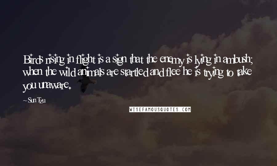 Sun Tzu Quotes: Birds rising in flight is a sign that the enemy is lying in ambush; when the wild animals are startled and flee he is trying to take you unaware.