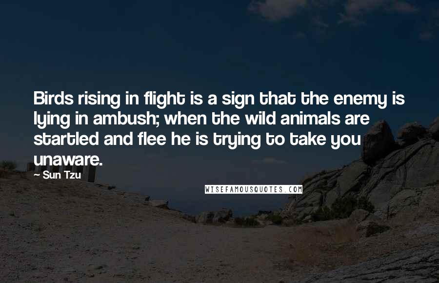 Sun Tzu Quotes: Birds rising in flight is a sign that the enemy is lying in ambush; when the wild animals are startled and flee he is trying to take you unaware.