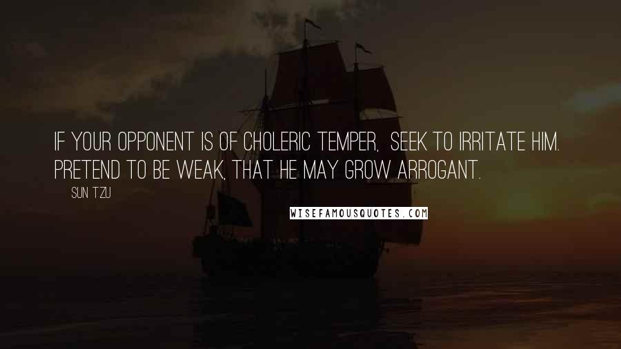 Sun Tzu Quotes: If your opponent is of choleric temper,  seek to irritate him.  Pretend to be weak, that he may grow arrogant.