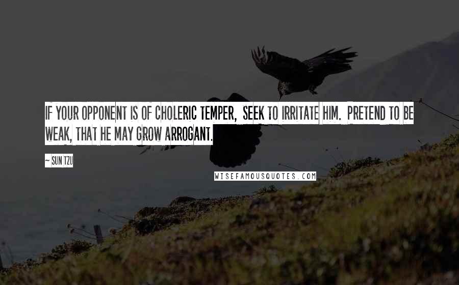 Sun Tzu Quotes: If your opponent is of choleric temper,  seek to irritate him.  Pretend to be weak, that he may grow arrogant.