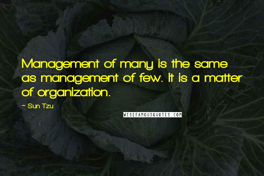 Sun Tzu Quotes: Management of many is the same as management of few. It is a matter of organization.