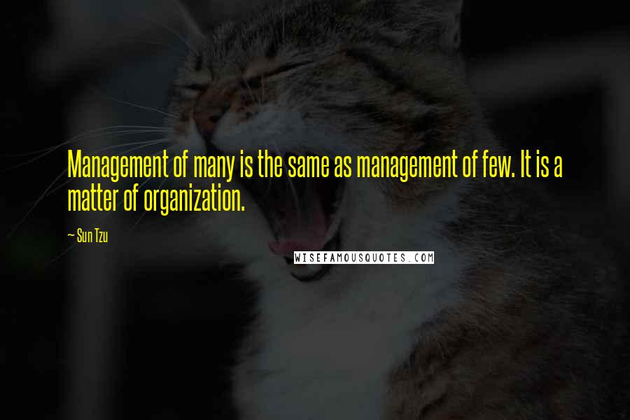 Sun Tzu Quotes: Management of many is the same as management of few. It is a matter of organization.