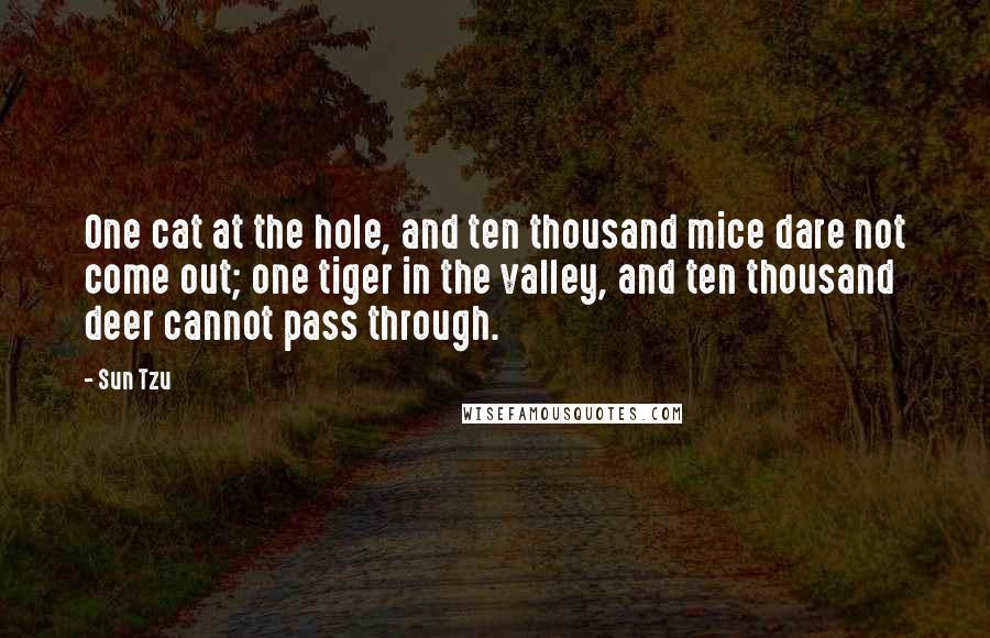 Sun Tzu Quotes: One cat at the hole, and ten thousand mice dare not come out; one tiger in the valley, and ten thousand deer cannot pass through.