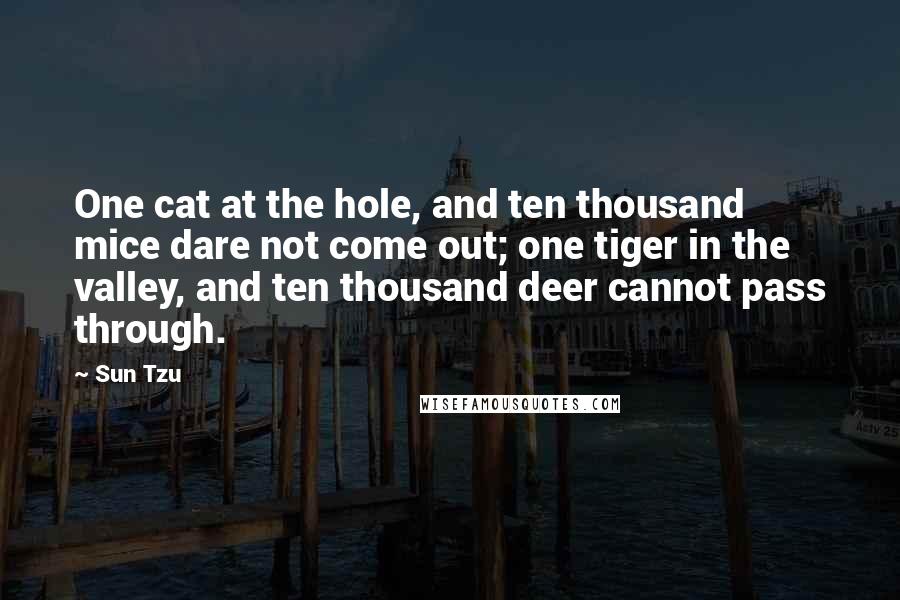 Sun Tzu Quotes: One cat at the hole, and ten thousand mice dare not come out; one tiger in the valley, and ten thousand deer cannot pass through.