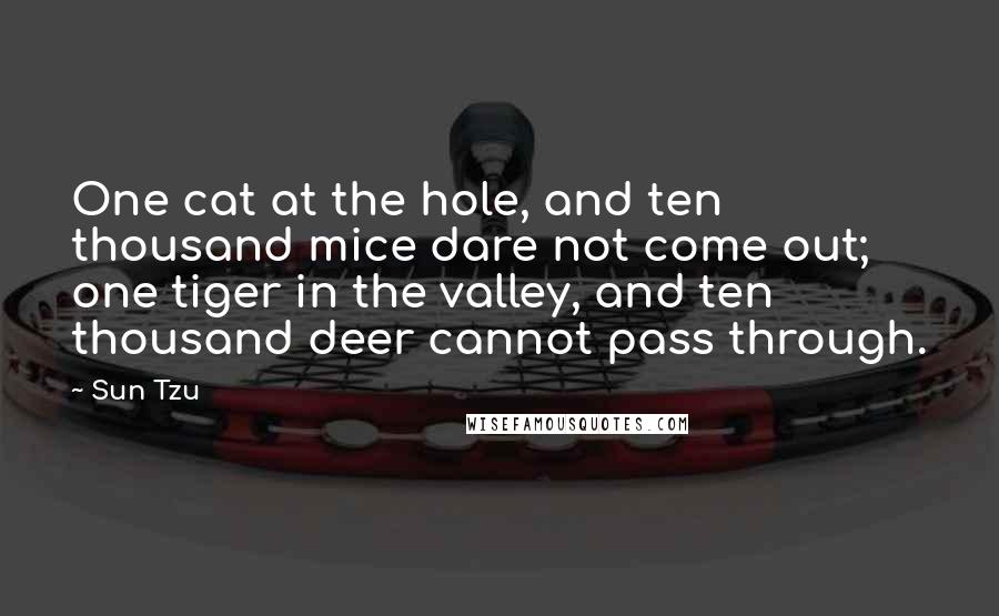 Sun Tzu Quotes: One cat at the hole, and ten thousand mice dare not come out; one tiger in the valley, and ten thousand deer cannot pass through.