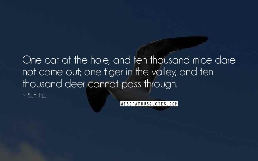 Sun Tzu Quotes: One cat at the hole, and ten thousand mice dare not come out; one tiger in the valley, and ten thousand deer cannot pass through.