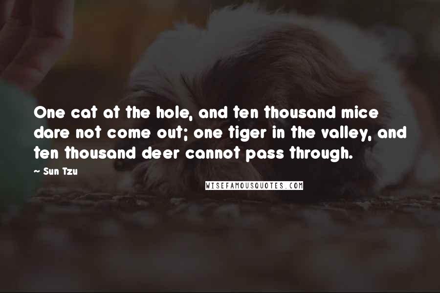 Sun Tzu Quotes: One cat at the hole, and ten thousand mice dare not come out; one tiger in the valley, and ten thousand deer cannot pass through.