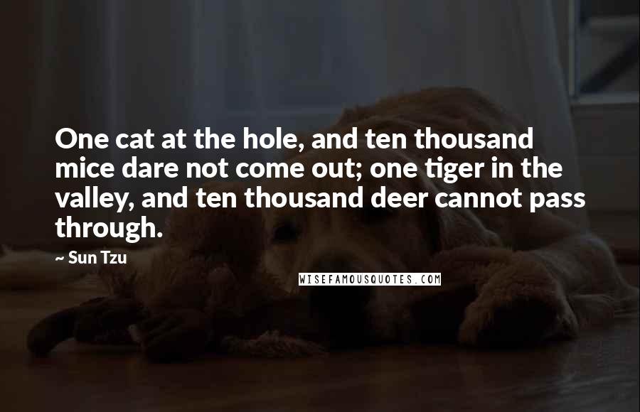 Sun Tzu Quotes: One cat at the hole, and ten thousand mice dare not come out; one tiger in the valley, and ten thousand deer cannot pass through.