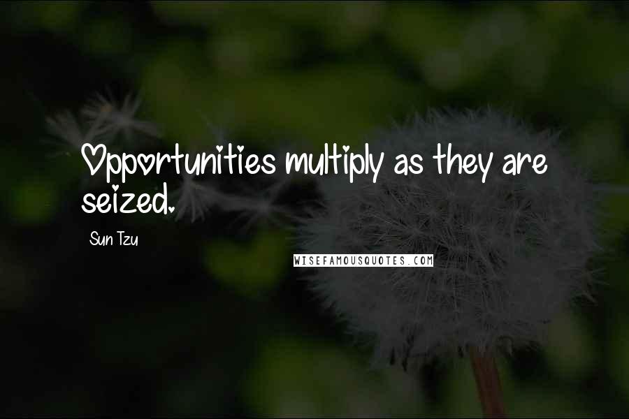 Sun Tzu Quotes: Opportunities multiply as they are seized.