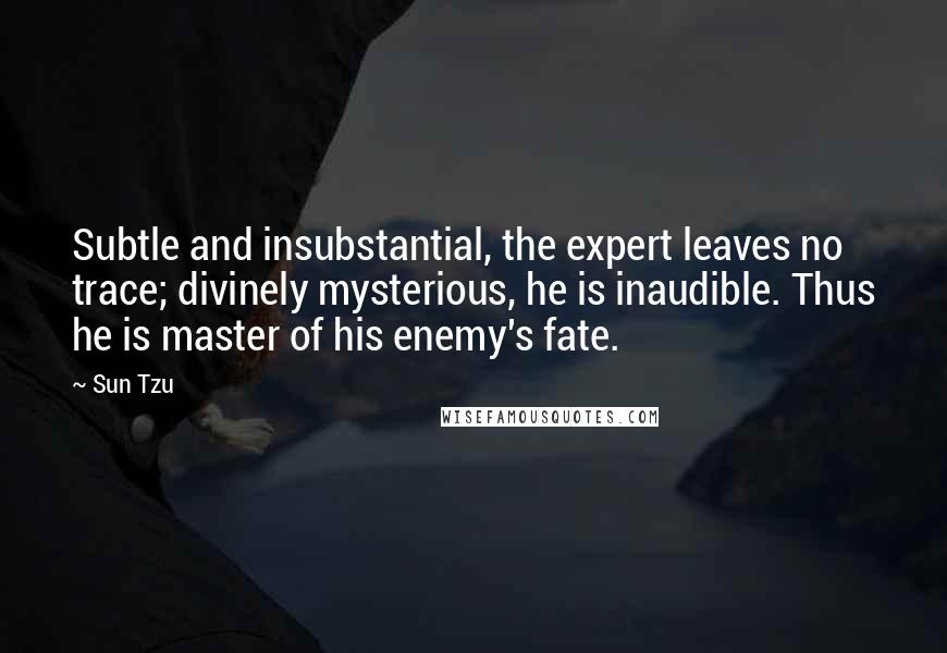 Sun Tzu Quotes: Subtle and insubstantial, the expert leaves no trace; divinely mysterious, he is inaudible. Thus he is master of his enemy's fate.