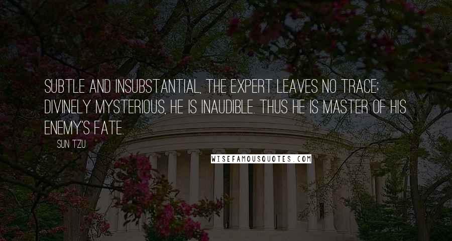 Sun Tzu Quotes: Subtle and insubstantial, the expert leaves no trace; divinely mysterious, he is inaudible. Thus he is master of his enemy's fate.