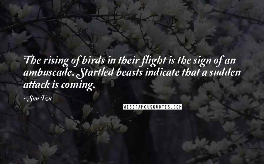 Sun Tzu Quotes: The rising of birds in their flight is the sign of an ambuscade. Startled beasts indicate that a sudden attack is coming.