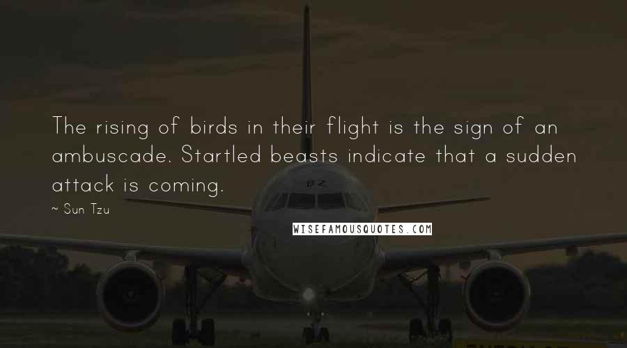 Sun Tzu Quotes: The rising of birds in their flight is the sign of an ambuscade. Startled beasts indicate that a sudden attack is coming.