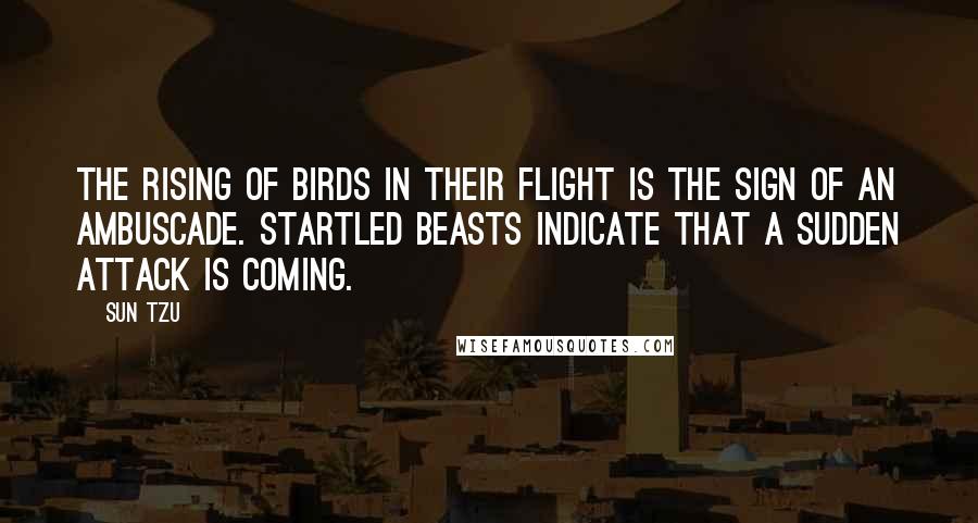Sun Tzu Quotes: The rising of birds in their flight is the sign of an ambuscade. Startled beasts indicate that a sudden attack is coming.