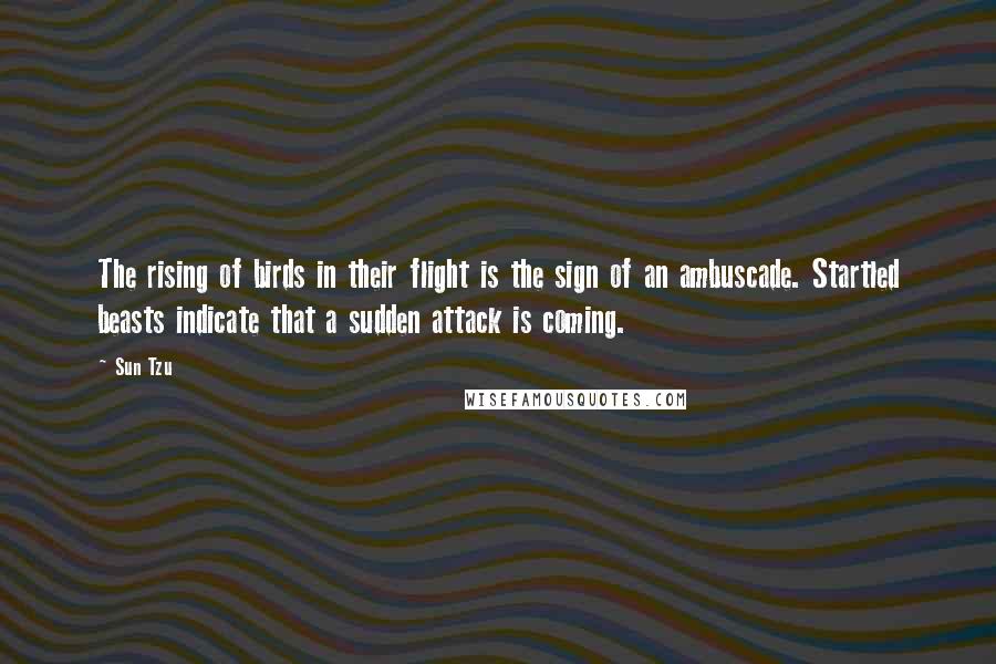 Sun Tzu Quotes: The rising of birds in their flight is the sign of an ambuscade. Startled beasts indicate that a sudden attack is coming.