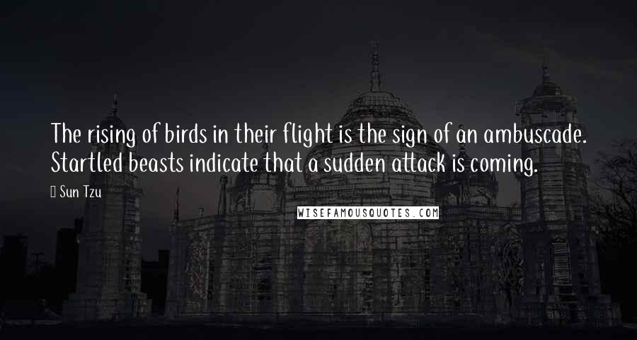 Sun Tzu Quotes: The rising of birds in their flight is the sign of an ambuscade. Startled beasts indicate that a sudden attack is coming.