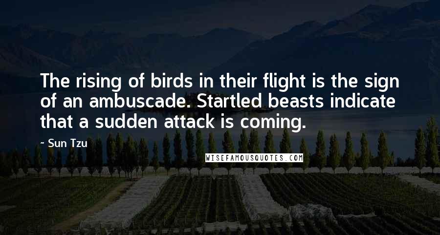 Sun Tzu Quotes: The rising of birds in their flight is the sign of an ambuscade. Startled beasts indicate that a sudden attack is coming.