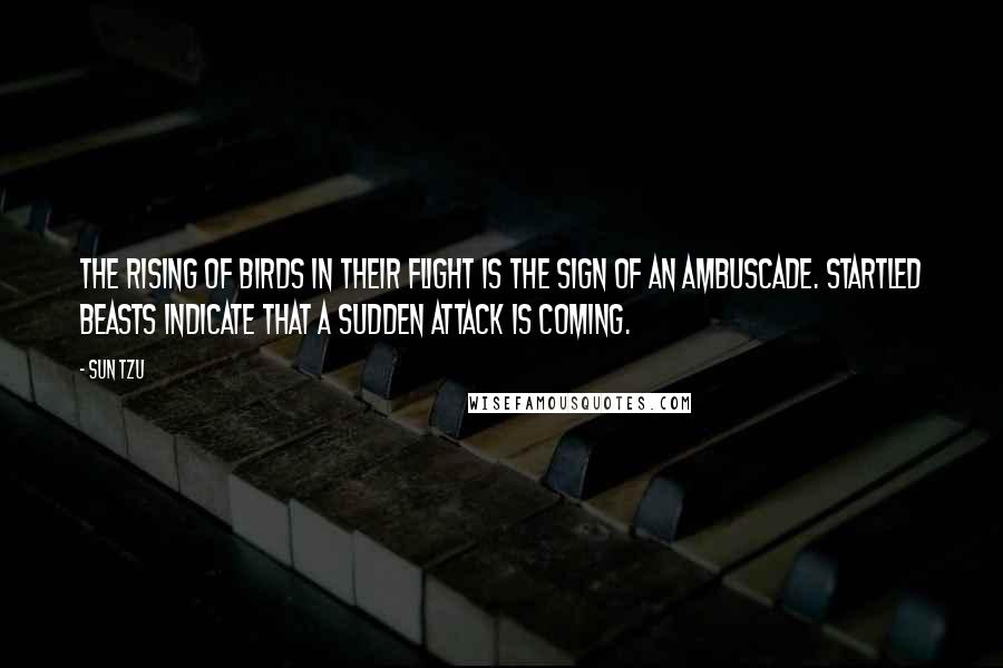 Sun Tzu Quotes: The rising of birds in their flight is the sign of an ambuscade. Startled beasts indicate that a sudden attack is coming.