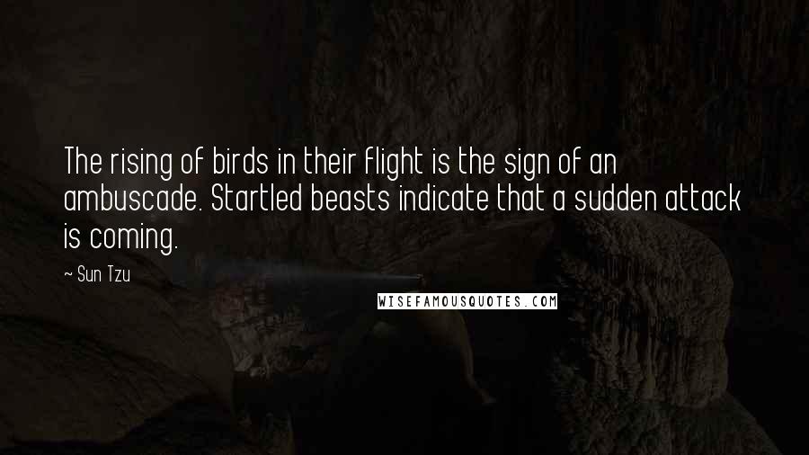 Sun Tzu Quotes: The rising of birds in their flight is the sign of an ambuscade. Startled beasts indicate that a sudden attack is coming.