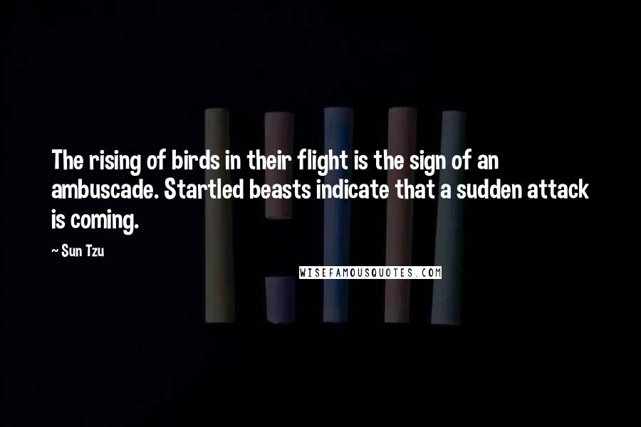 Sun Tzu Quotes: The rising of birds in their flight is the sign of an ambuscade. Startled beasts indicate that a sudden attack is coming.
