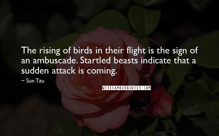 Sun Tzu Quotes: The rising of birds in their flight is the sign of an ambuscade. Startled beasts indicate that a sudden attack is coming.