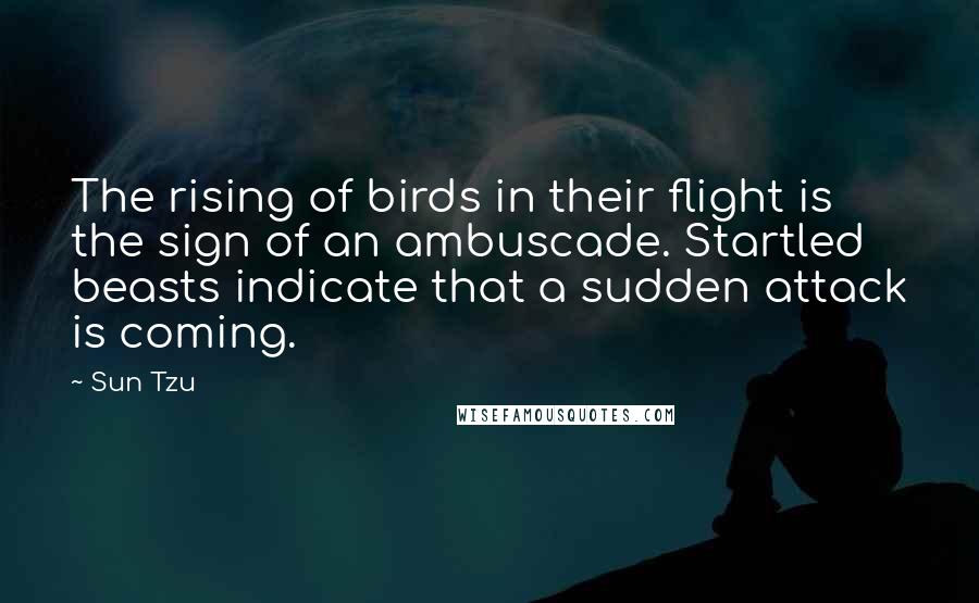 Sun Tzu Quotes: The rising of birds in their flight is the sign of an ambuscade. Startled beasts indicate that a sudden attack is coming.