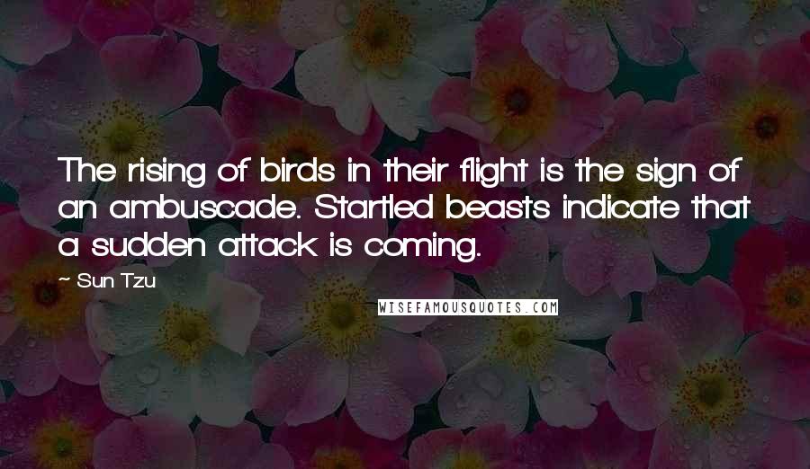 Sun Tzu Quotes: The rising of birds in their flight is the sign of an ambuscade. Startled beasts indicate that a sudden attack is coming.