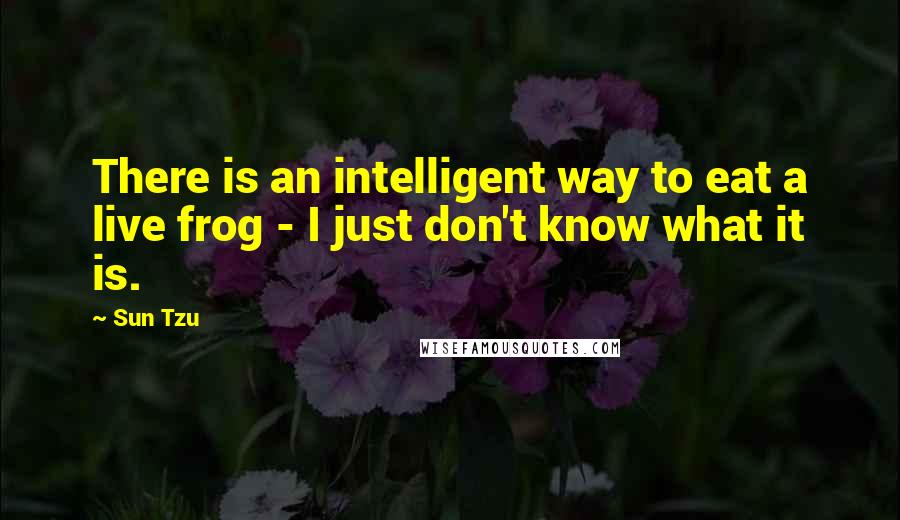 Sun Tzu Quotes: There is an intelligent way to eat a live frog - I just don't know what it is.